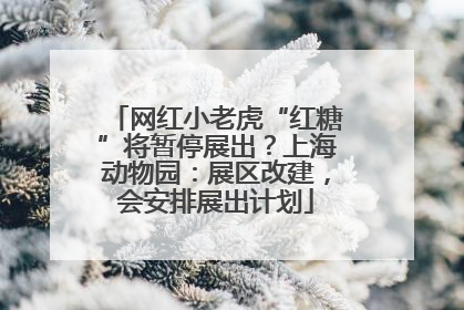 网红小老虎“红糖”将暂停展出？上海动物园：展区改建，会安排展出计划