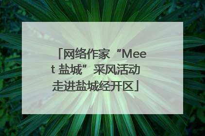 网络作家“Meet 盐城”采风活动走进盐城经开区
