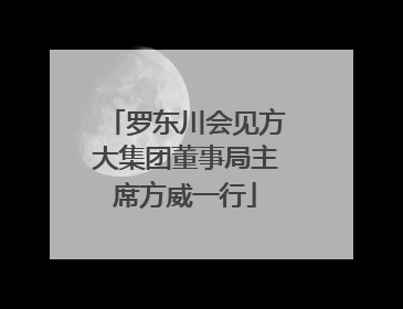 罗东川会见方大集团董事局主席方威一行