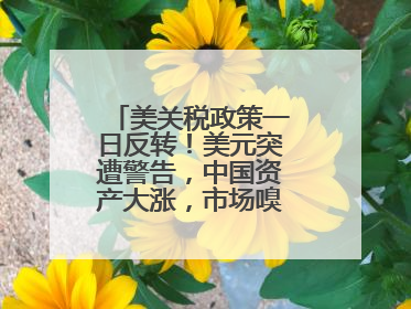 美关税政策一日反转！美元突遭警告，中国资产大涨，市场嗅到危险气息→