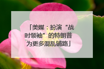 美媒：扮演“战时领袖”的特朗普为更多混乱铺路