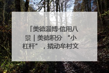 美德淄博·信用八景｜美德积分 “小杠杆”，撬动牟村文明 “大能量”