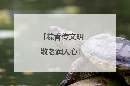 粽香传文明 敬老润人心