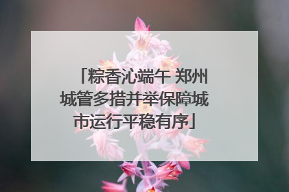 粽香沁端午 郑州城管多措并举保障城市运行平稳有序