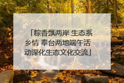 粽香飘两岸 生态系乡情 奉台两地端午活动深化生态文化交流