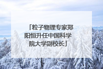 粒子物理专家郑阳恒升任中国科学院大学副校长