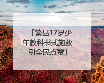 繁昌17岁少年教科书式施救引全民点赞