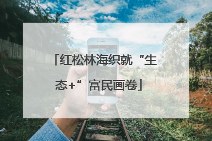 红松林海织就“生态+”富民画卷