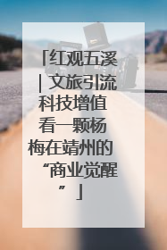 红观五溪｜文旅引流 科技增值 看一颗杨梅在靖州的“商业觉醒”