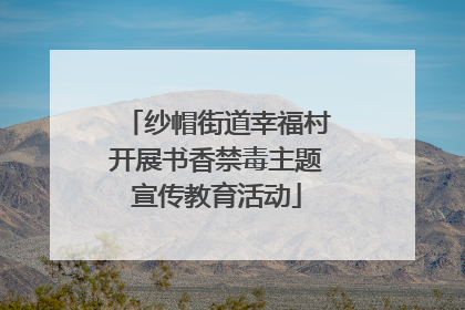 纱帽街道幸福村开展书香禁毒主题宣传教育活动