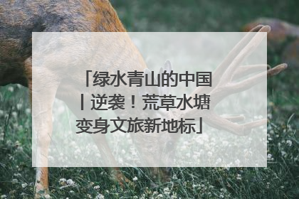 绿水青山的中国丨逆袭！荒草水塘变身文旅新地标