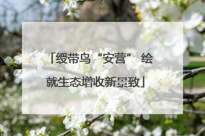 绶带鸟“安营” 绘就生态增收新景致