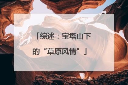 综述：宝塔山下的“草原风情”
