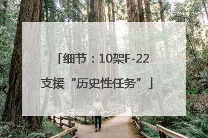细节：10架F-22支援“历史性任务”