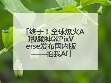 终于！全球爆火AI视频神器PixVerse发布国内版——拍我AI
