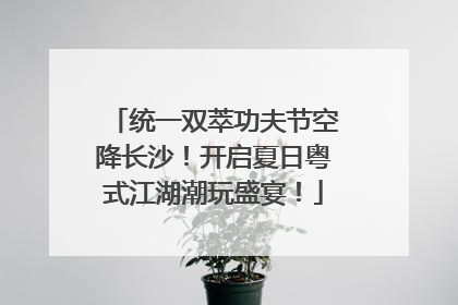 统一双萃功夫节空降长沙！开启夏日粤式江湖潮玩盛宴！