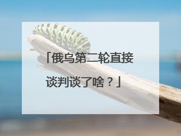 俄乌第二轮直接谈判谈了啥？