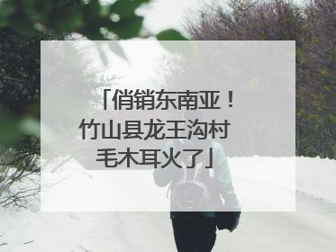俏销东南亚！竹山县龙王沟村毛木耳火了