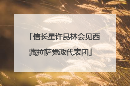 信长星许昆林会见西藏拉萨党政代表团