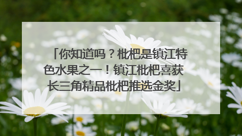 你知道吗？枇杷是镇江特色水果之一！镇江枇杷喜获长三角精品枇杷推选金奖