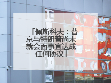 佩斯科夫：普京与特朗普尚未就会面事宜达成任何协议