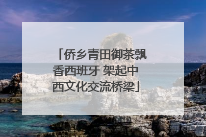 侨乡青田御茶飘香西班牙 架起中西文化交流桥梁