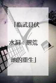 临武县伏水洞：撂荒地的重生