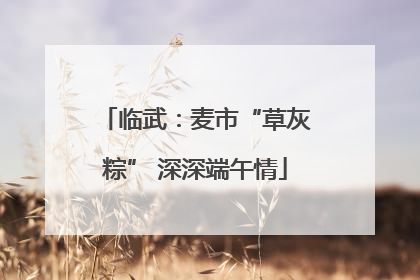 临武：麦市“草灰粽” 深深端午情