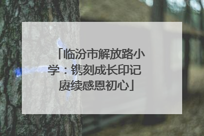 临汾市解放路小学：镌刻成长印记 赓续感恩初心
