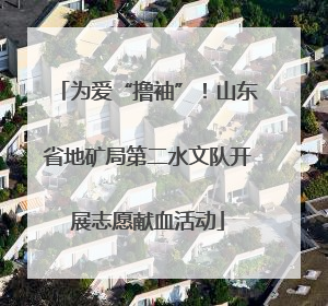 为爱“撸袖”！山东省地矿局第二水文队开展志愿献血活动
