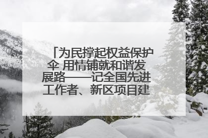 为民撑起权益保护伞 用情铺就和谐发展路——记全国先进工作者、新区项目建设中心干部卢小勇