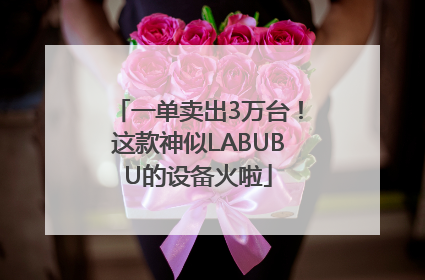 一单卖出3万台！这款神似LABUBU的设备火啦