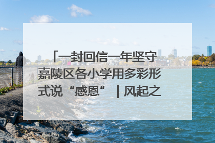 一封回信一年坚守 嘉陵区各小学用多彩形式说“感恩”｜风起之江 扶摇直上