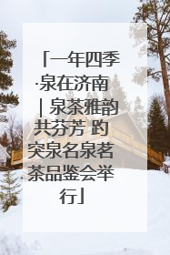 一年四季·泉在济南｜泉茶雅韵共芬芳 趵突泉名泉茗茶品鉴会举行