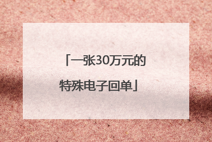 一张30万元的特殊电子回单