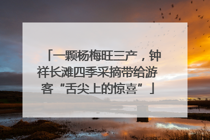 一颗杨梅旺三产，钟祥长滩四季采摘带给游客“舌尖上的惊喜”