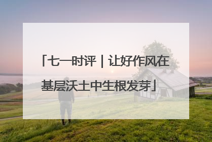 七一时评｜让好作风在基层沃土中生根发芽