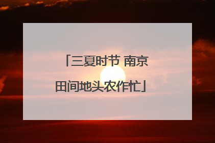 三夏时节 南京田间地头农作忙