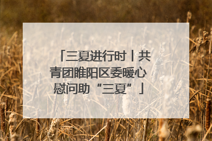 三夏进行时丨共青团睢阳区委暖心慰问助“三夏”