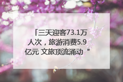 三天迎客73.1万人次，旅游消费5.9亿元 文旅顶流涌动“江宁style”