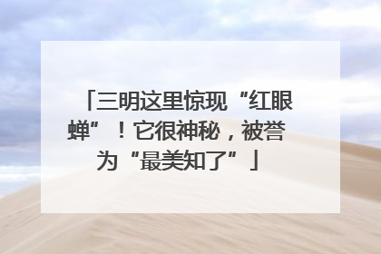 三明这里惊现“红眼蝉”！它很神秘，被誉为“最美知了”