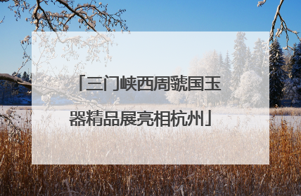 三门峡西周虢国玉器精品展亮相杭州