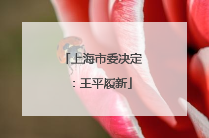 上海市委决定：王平履新