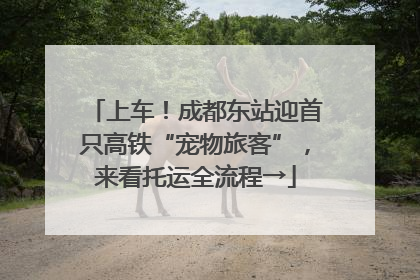 上车！成都东站迎首只高铁“宠物旅客”，来看托运全流程→