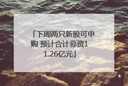 下周两只新股可申购 预计合计募资11.26亿元