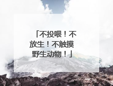 不投喂！不放生！不触摸野生动物！