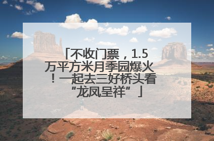 不收门票，1.5万平方米月季园爆火！一起去三好桥头看“龙凤呈祥”
