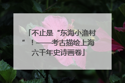 不止是“东海小渔村”！——考古描绘上海六千年史诗画卷