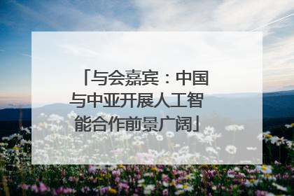与会嘉宾：中国与中亚开展人工智能合作前景广阔