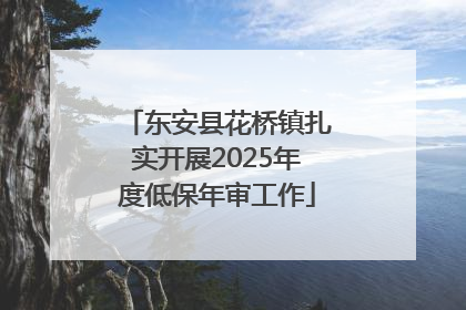东安县花桥镇扎实开展2025年度低保年审工作